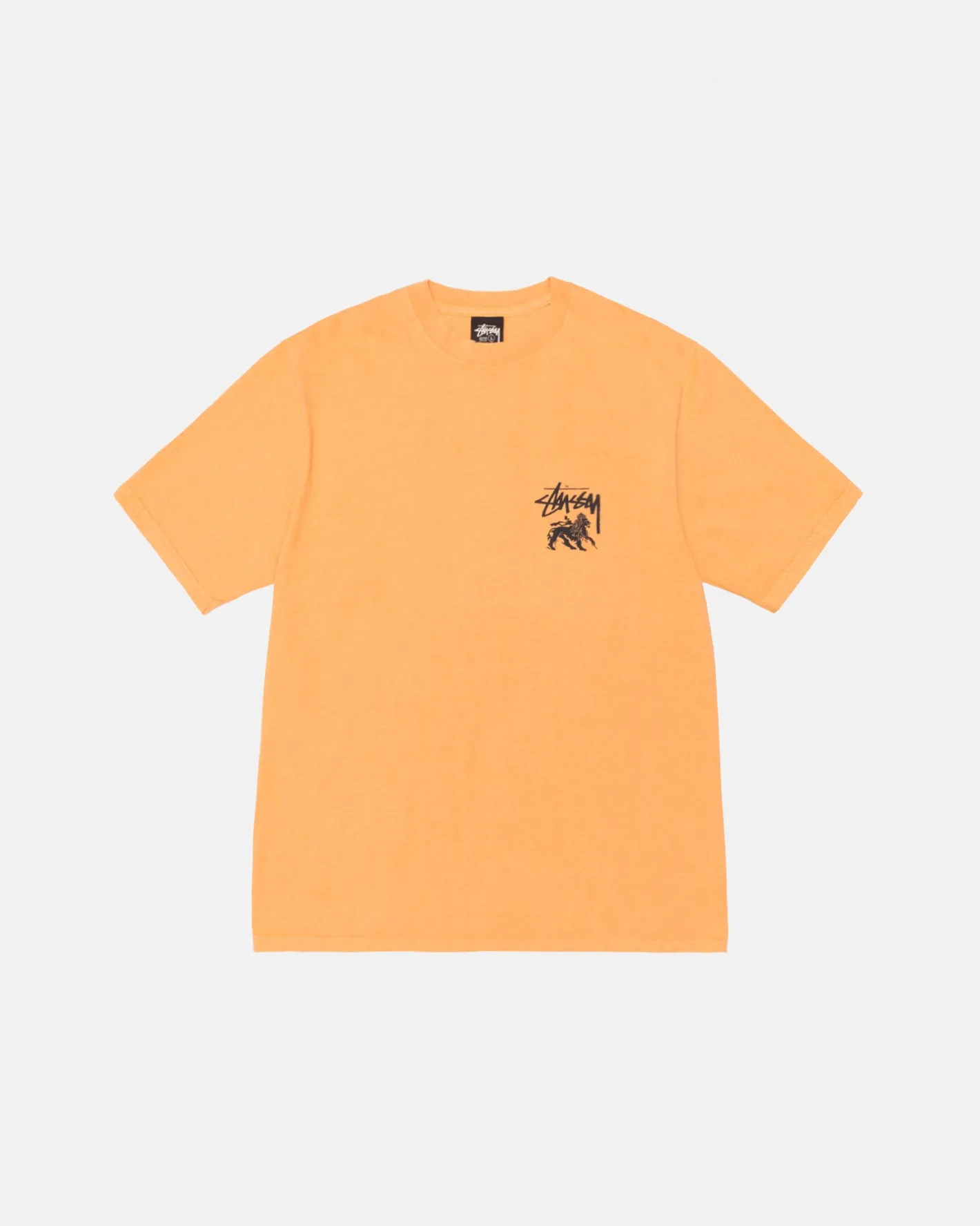 RASTA LION TEE PIGMENT DYED*Stüssy Best