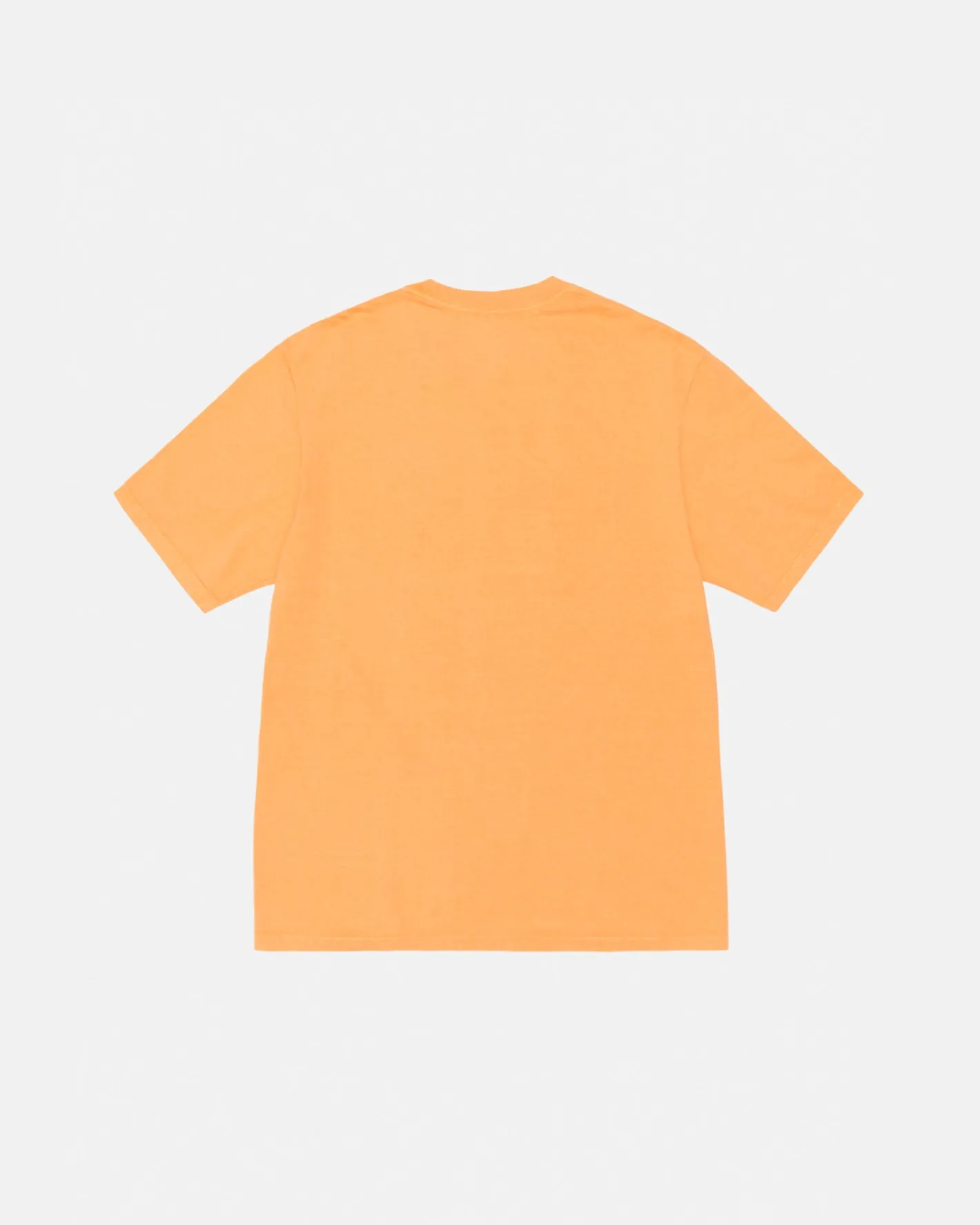 RASTA LION TEE PIGMENT DYED*Stüssy Best